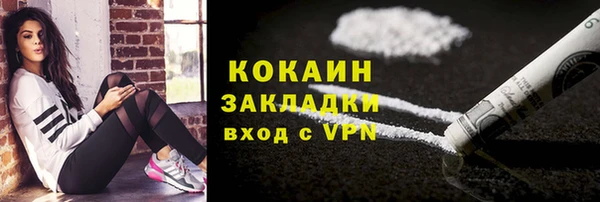 шишки Волоколамск